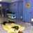 Cat room